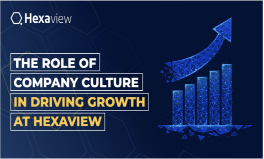 The Role of Company Culture in Driving Growth at Hexaview